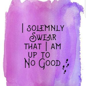 Meet your Posher, Tamara